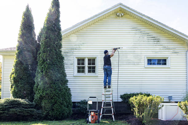 Best Best Pressure Washing Companies  in Green Oaks, IL